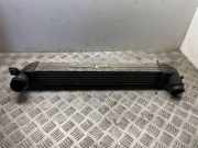 Ladeluftkühler Mini Mini (R56) 8506904