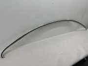 Dachleiste links VW PASSAT CC (357) 2.0 TDI