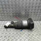 pneumatischer Stoßdämpfer hinten links BMW X5 (G05) xDrive 30 d Mild-Hybrid 6869037 78315615