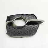 Kühlergrill rechts BMW X6 (E71, E72) 7188384