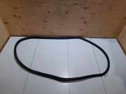 Türgummi links vorne Ford EcoSport () GN15N20724AA