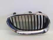Vorderer oberer Gitter BMW 5 Touring (E61) 525 d