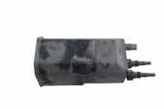 Kraftstoffdampffilter (EVAP) NISSAN JUKE (F15) 1.2 DIG-T