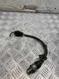 Einspritzleiste Toyota Avensis Verso (M2) 8945860010