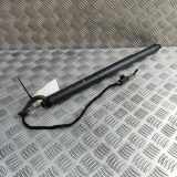 Heckklappe Gasdruckfeder rechts AUDI A5 Sportback (F5A) 40 TFSI Mild Hybrid 8W8827851E