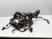 Motor Kabelbaum KIA MAGENTIS (MG) 2.7 914102G111