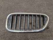 Vorderer oberer Gitter BMW 5 Touring (G31) 530 d 8070469