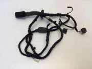 Türverkabelung hinten links BMW 3 (G20, G28) 3 (G20) 316 d 8718245