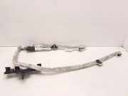 SRS Modul Dach links BMW 1 (E87) 118 d 30355249D 84707586908C