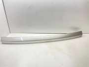 Kennzeichenbeleuchtung OPEL SIGNUM 2.2 direct
