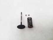 Einlassventile NISSAN MURANO I (Z50) 3.5 4x4