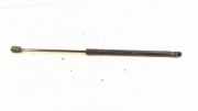 Heckklappe Gasdruckfeder links MERCEDES-BENZ A (W169) A 180 CDI (169.007, 169.307) 1697400045
