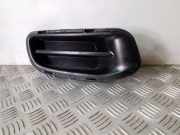 Kühlergrill unten Infiniti EX (J50) 622521BP0A