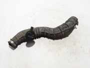 Schlauch für Luftversorgung Renault Clio III (BR0/1, CR0/1) 8200446868
