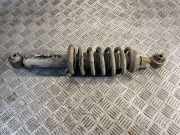 Stoßdämpfer links hinten Citroen C5 II Break (RE)