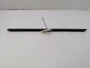 Türgummi links vorne Mercedes-Benz S-Klasse (W220)