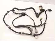 Kabel der vorderen linken Tür NISSAN PRIMERA (P12) 2.2 dCi 24125AU201