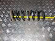 Schraubenfeder hinten links VOLVO S40 II (MS) 2.4 CDI