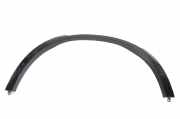 Blende Kotflügel links hinten BMW X5 (G05, F95) 51778069291