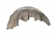 Radhaus links hinten Lexus GS 3 (S19)
