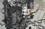 Motor ohne Anbauteile (Benzin) Volvo XC40 (536) B4204T47