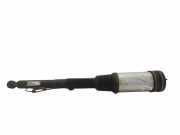 Stoßdämpfer links hinten Mercedes-Benz S-Klasse (W220) C086054P6
