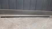 Türverkleidung rechts hinten Ford Focus C-Max (DM2) 3M51R20570
