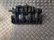 Ansaugkrümmer Audi A4 (8E, B7) 06133185T