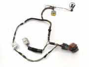 Kabel Tür Citroen Xsara Picasso (N68) 9641399980