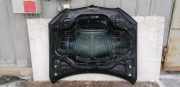 Motorhaube BMW X5 (G05, F95) 6995662