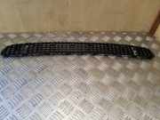 Ziergitter BMW 3er Cabriolet (E46) 51137075312
