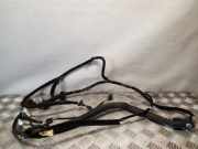 Türverkabelung hinten links RENAULT TRAFIC III Furgon (FG_) 1.6 dCi 115 240525184R