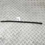 Fensterleiste Tür vorne links MERCEDES-BENZ S (W140) S 350 Turbo-D (140.134) A2207250065