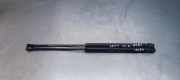 Heckklappe Gasdruckfeder links VW GOLF IV (1J1) 1.9 TDI 1J6827550