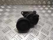 Riemenspanner BMW 3 (E46) 320 d 1427252