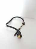 Abgastemperatursensor MERCEDES-BENZ C (W205) C 220 BlueTEC / d (205.004) A0009055202