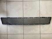 Gitter vorne unten MERCEDES-BENZ R (W251, V251) R 320 CDI 4-matic (251.022, 251.122) A2518850953