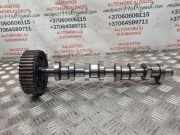 Auspuffkrümmer VW Sharan (7M) 038109111E