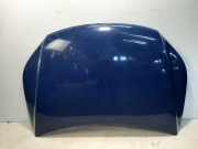Motorhaube VW TIGUAN (5N_) 2.0 TDI 4motion