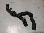 Schlauch Kühlung VW GOLF VIII (CD1) 1.0 TSI 3001211