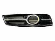 Gitter vorne unten AUDI A3 (8P1) 1.9 TDI 8P0807682J