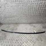Dachleiste links MERCEDES-BENZ S (W221) S 350 4-matic (221.087, 221.187)