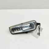 Nebelscheinwerfer links FORD TRANSIT CUSTOM 2.0 EcoBlue F1EB-15A255-AB