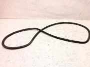 Türdichtung VW Golf V Plus (5M, 521)