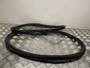 Dichtungsgummi der hinteren Tür (an der Karosserie) AUDI A6 Allroad (4GH, 4GJ) 3.0 TDI quattro