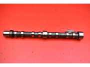 Nockenwelle Fiat Ducato Kasten (250)