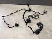 Kabel Tür vorne rechts FORD C-MAX II (DXA/CB7, DXA/CEU) 1.6 EcoBoost AV6T14K138