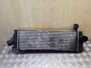 Ladeluftkühler Renault Trafic II Kasten (FL)