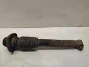 Stoßdämpfer hinten links BMW X5 (E53) 3.0 d