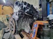 Motor BMW X5 (E70) xDrive 30 d F01C310008